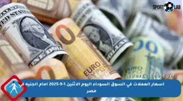 أسعار العملات في السوق السوداء اليوم الإثنين 1-9-2025 أمام الجنيه في مصر